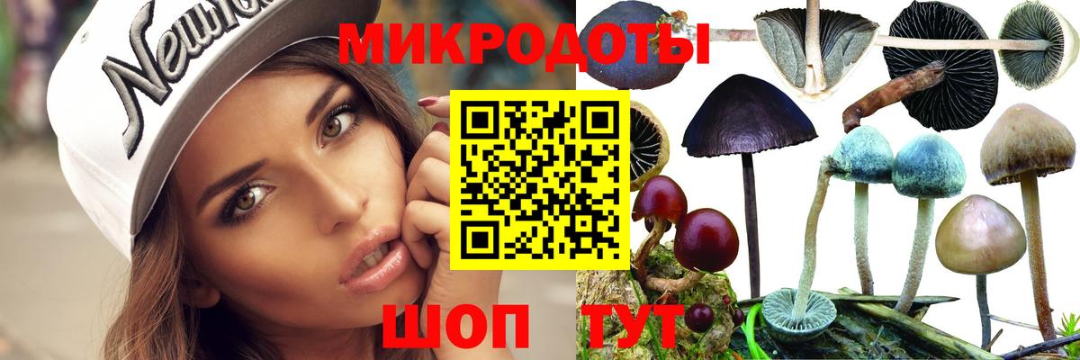 Галлюциногенные грибы прущие грибы Зеленокумск